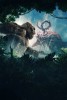 Monarch : Legacy of Monsters Affiches de la s�rie #2 